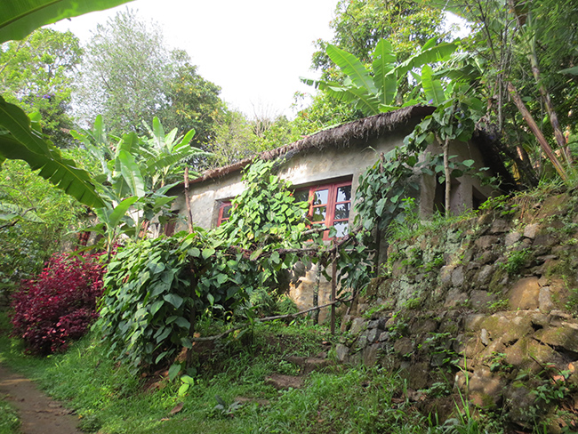Ganga cottage — a thatched mud-and-stone cottage tucked into the forest at Karuna Dham