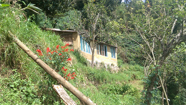 Gomukh cottage