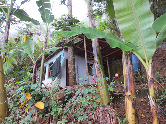 Kailash cottage